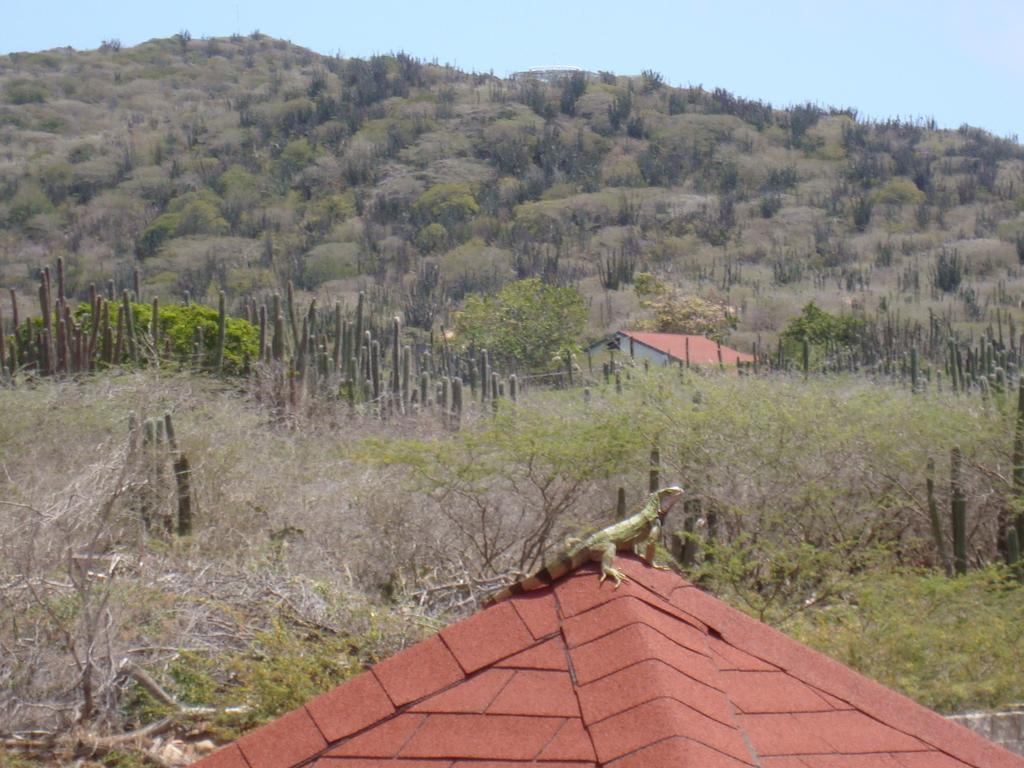 Fuego Mio Bed&Breakfast Santa Cruz Exterior foto